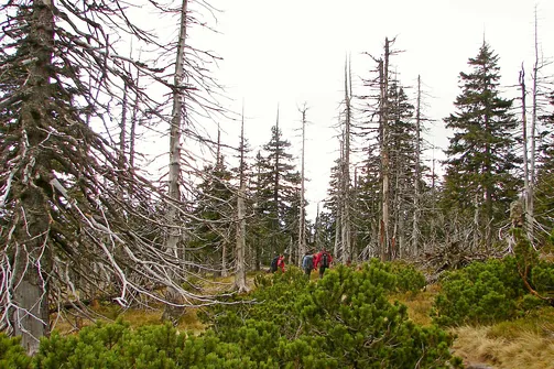 Dolina Łaby i Śnieżne Kotły w Karkonoszach
