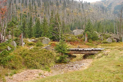 Dolina Łaby i Śnieżne Kotły w Karkonoszach