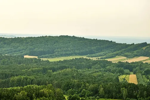 Grząby Bolmińske i Miedzianka - szczyty Korony Gór Świetokrzyskich