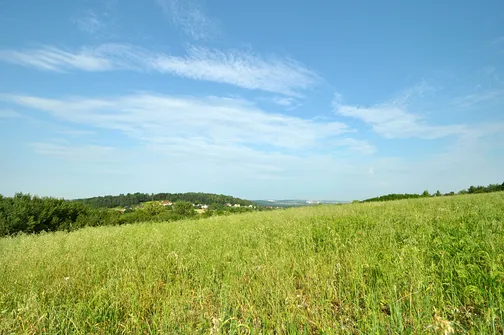 Ze szlaku na szczyt Grząb Bolmińskich