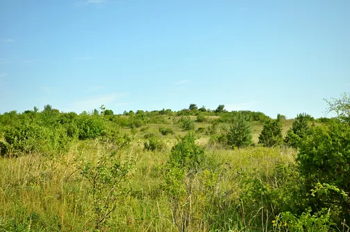 Szczyt Grząb Bolmińskich