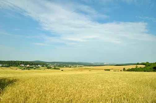 Widok na okolicę z Grząb Bolmińskich