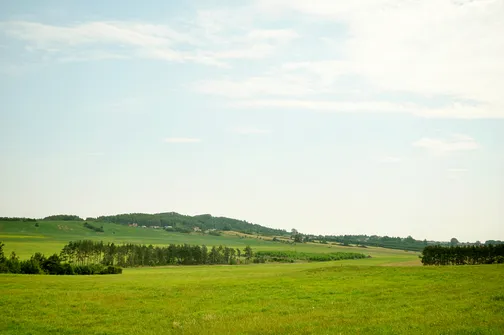 Widok na Miedziankę z drogi Milechowy - Zajączków