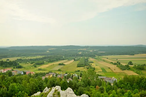 Pasmo Grząb Bolmińskich z Miedzianki