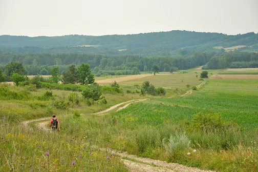 Północne zbocze Grząb Bolmińskich