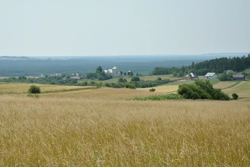 A to już widok ze zbocza Grząb Bolmińskich