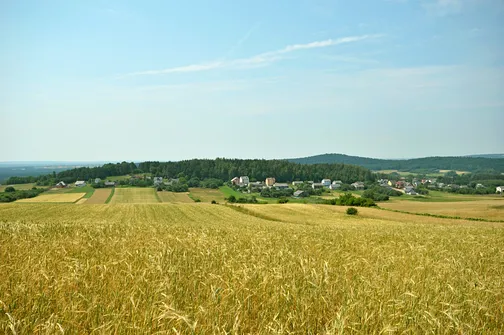 Widoki z drogi powrotnej