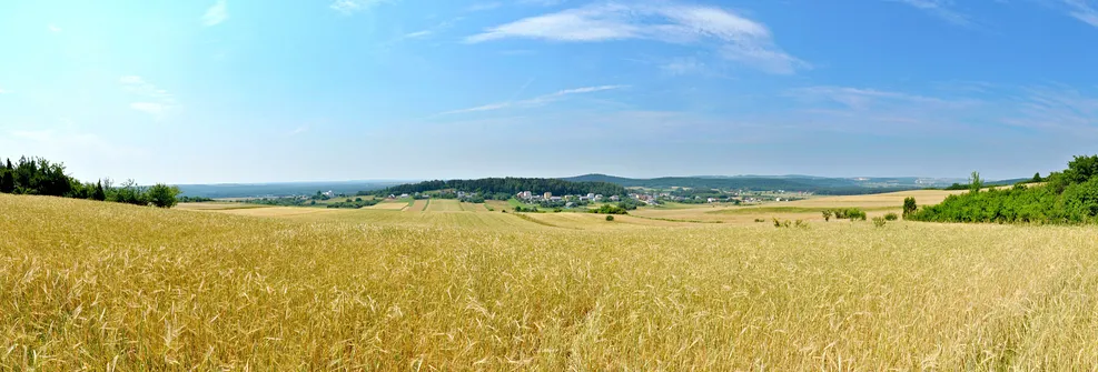 Panorama z Grząb Bolmińskich