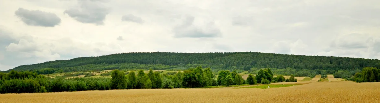 Widok na Fajną Rybę z drogi do Gór Mokrych