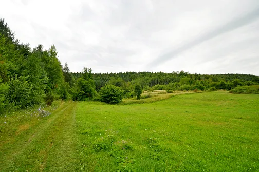Początkowy odcinek szlaku za wsią Góry Suche