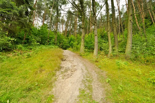 Rozpoczyna się podejście na grzbiet Pasma Przedborsko-Małogoskiego