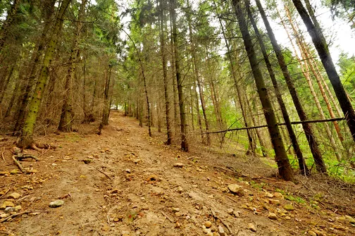 Zielony szlak i dość strome podejście