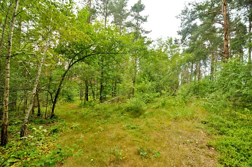 A to szczyt Fajnej Ryby