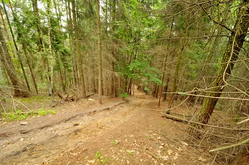 Drogę w dół trzeba pokonać powoli i ostrożnie