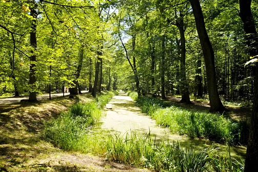Pałac w Mosznej - bajkowy zabytek Opolszczyzny