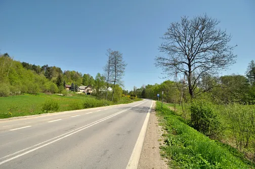 Droga wyjazdowa z Ciekot - jednocześnie odcinek szlaku czerwonego na Klonówkę