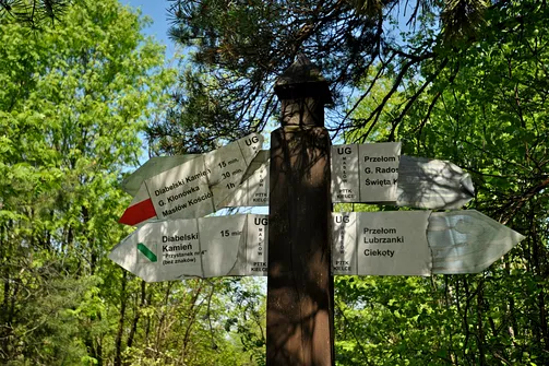 Zniszczony drogowskaz na szlaku na Klonówkę