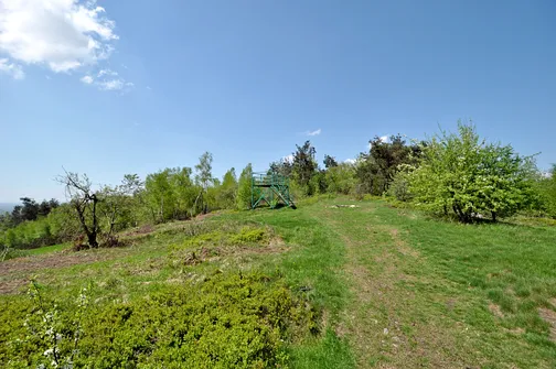 Platforma widokowa na Klonówce