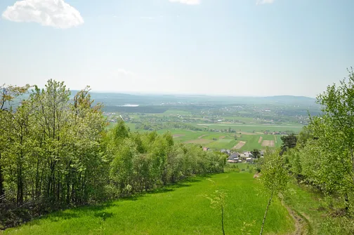 Widok z Klonówki w kierunku południowym