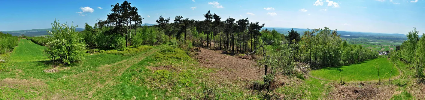 Panorama z platformy widokowej na Klonówce