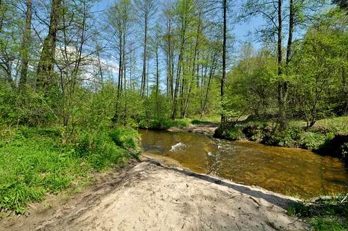 Rzeka Lubrzanka w Ciekotach