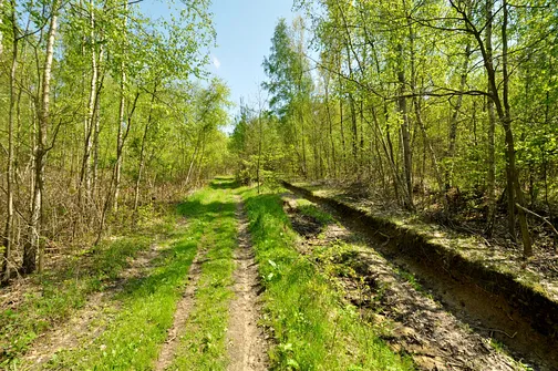 Szlak na Radostową od strony Lubrzanki