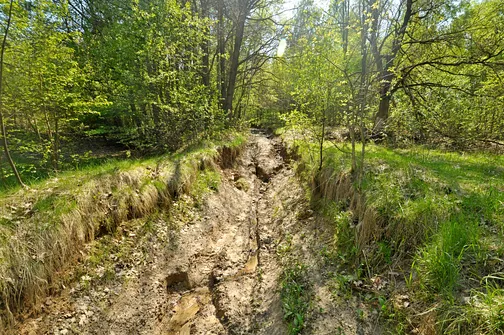 Czerwony szlak na Radostową