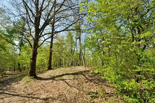 Wierzochołek Radostowej z wieżą triangulacyjną