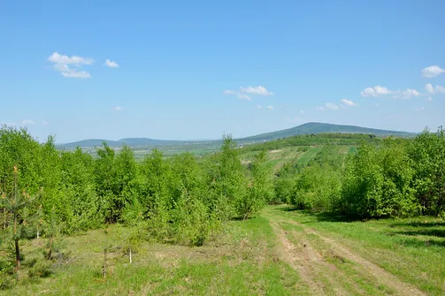 Zejście z Radostowej w kierunku Wymyślonej