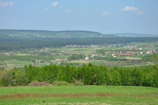 Bukowa Góra w Paśmie Klonowskim