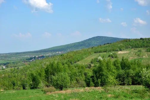 Zachodnie zbocza Łysicy