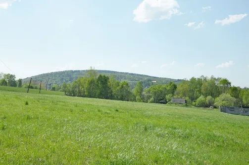 Dąbrówka w Paśmie Masłowskim