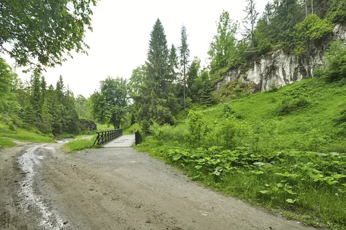 Dolina Białej Wody w Małych Pieninach