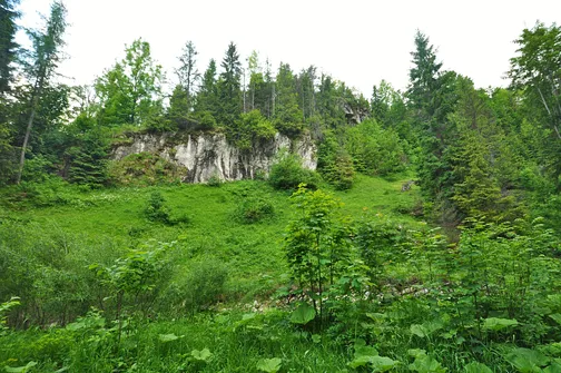 Dolina Białej Wody w Małych Pieninach