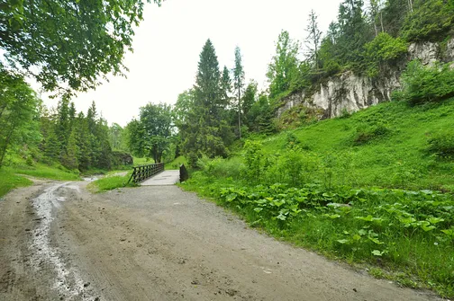 Dolina Białej Wody w Małych Pieninach