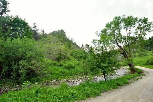 Dolina Białej Wody w Małych Pieninach