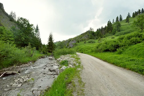 Dolina Białej Wody w Małych Pieninach