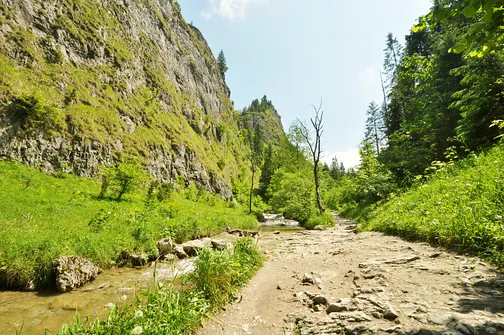 Wąwóz Homole w Małych Pieninach