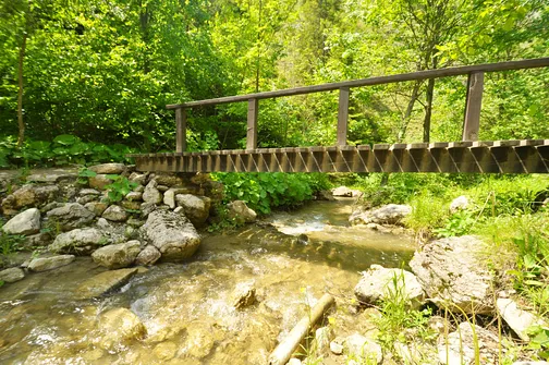 Wąwóz Homole w Małych Pieninach