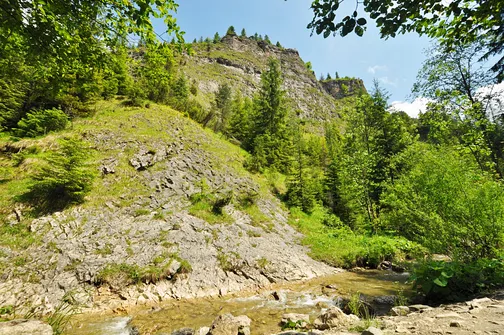 Wąwóz Homole w Małych Pieninach
