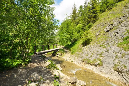 Wąwóz Homole w Małych Pieninach