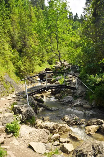 Wąwóz Homole w Małych Pieninach