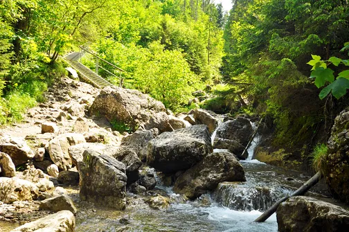 Wąwóz Homole w Małych Pieninach