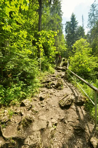 Wąwóz Homole w Małych Pieninach