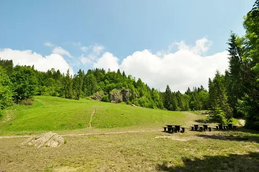 Wąwóz Homole w Małych Pieninach