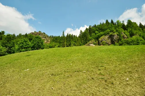 Wąwóz Homole w Małych Pieninach