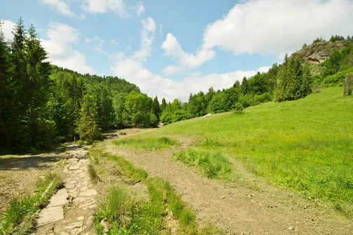 Wąwóz Homole w Małych Pieninach