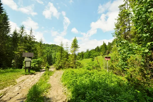 Wąwóz Homole w Małych Pieninach