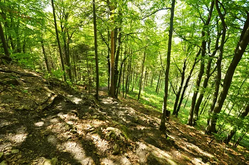 Strome zejście z Wysokich Skałek