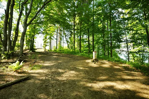 Grzbietem Małych Pienin z Jaworek do Szczawnicy